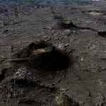 Black Lava Field Stampar Reykjanes ID: 65589961